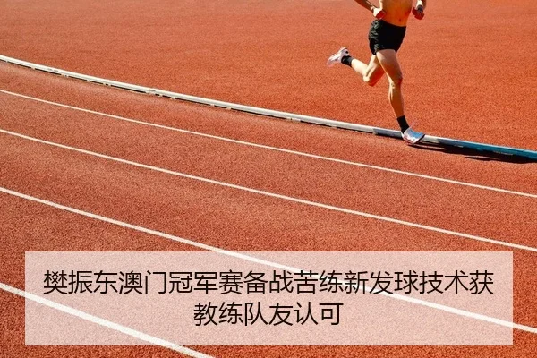樊振东澳门冠军赛备战苦练新发球技术获教练队友认可